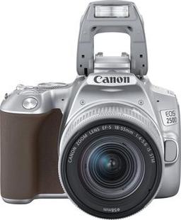 Зеркальный фотоаппарат CANON EOS 250D kit ( EF-S 18-55mm f/1:4-5.6 IS STM),  серебристый
