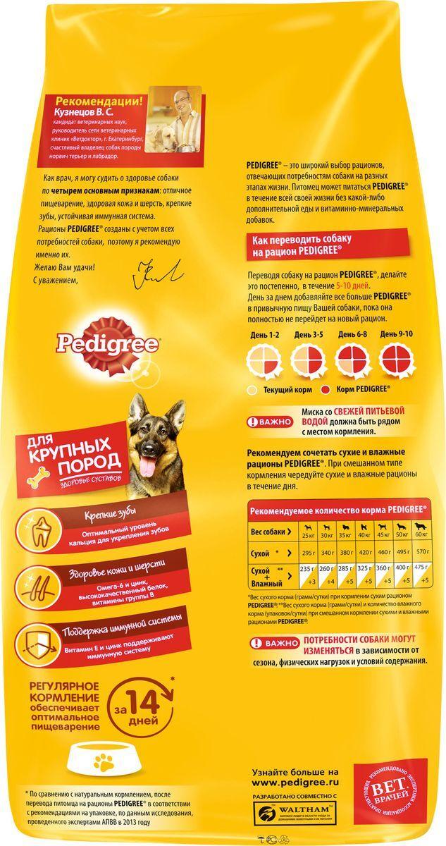 Корм сухой "Pedigree" для взрослых собак крупных пород, с говядиной, 13 кг