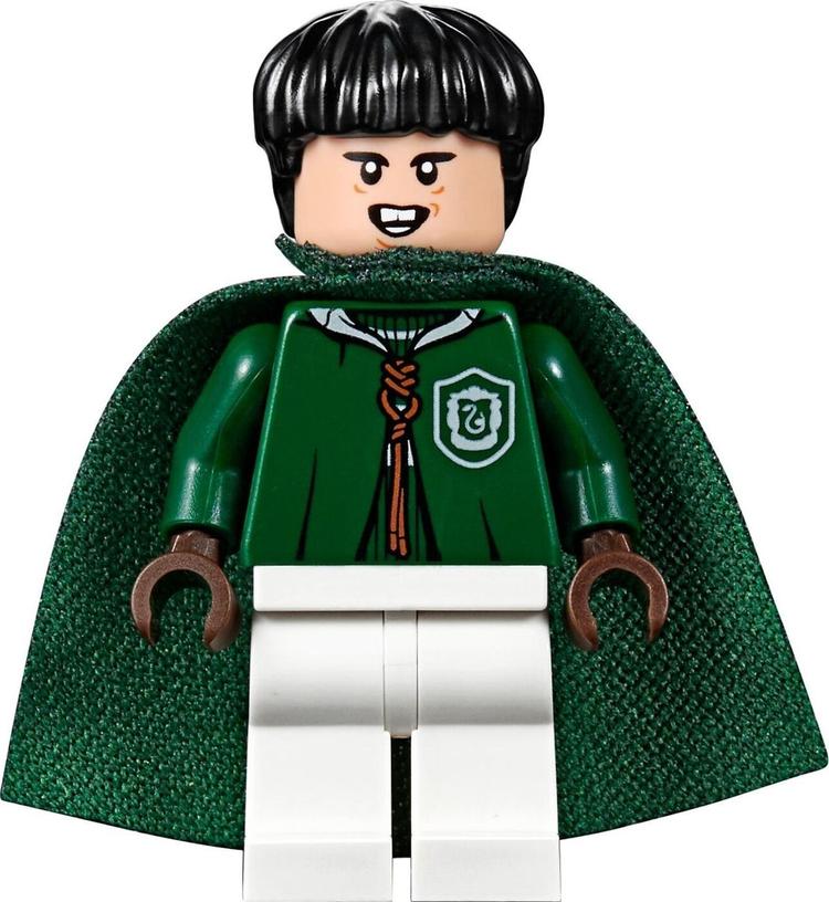 Конструктор LEGO Harry Potter 75956 Матч по квиддичу