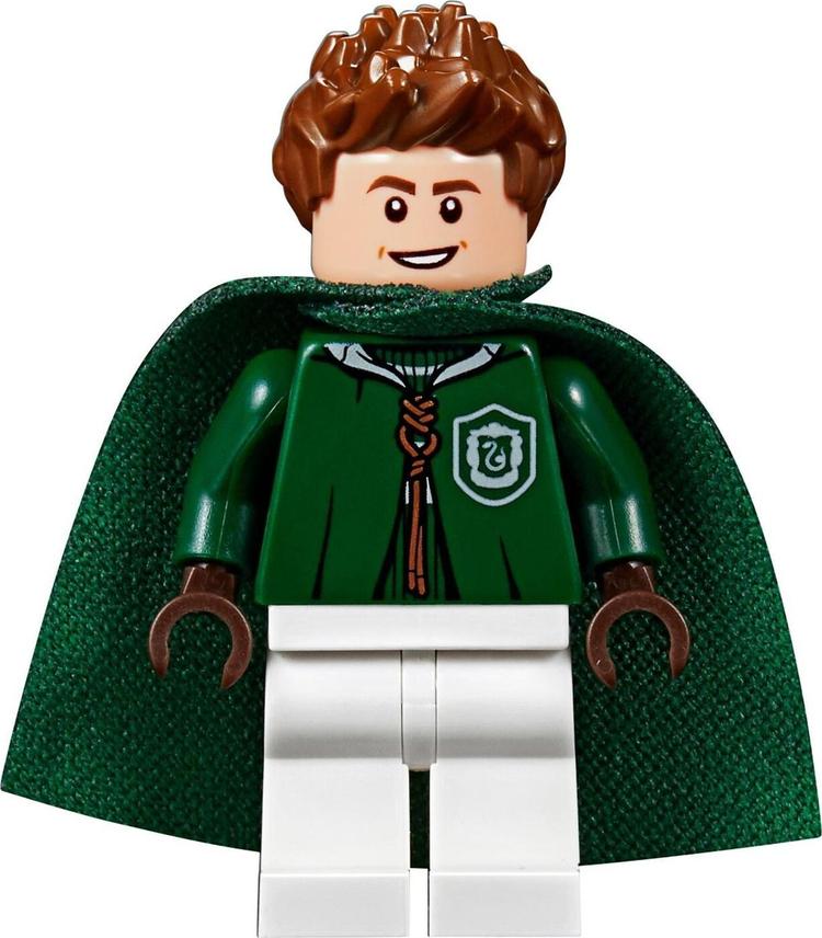 Конструктор LEGO Harry Potter 75956 Матч по квиддичу