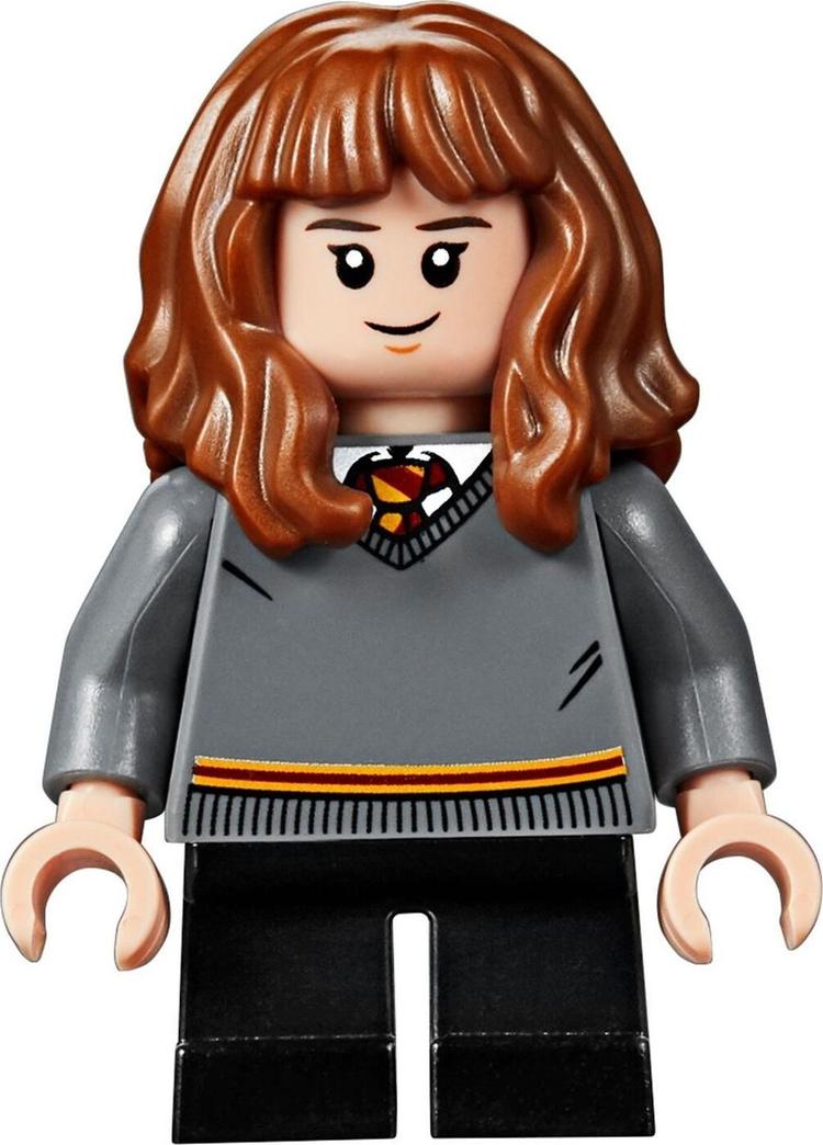 Конструктор LEGO Harry Potter 75956 Матч по квиддичу