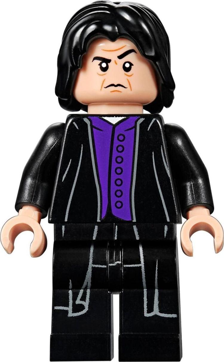 Конструктор LEGO Harry Potter 75956 Матч по квиддичу