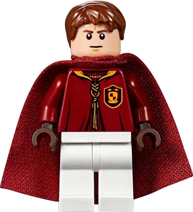 Конструктор LEGO Harry Potter 75956 Матч по квиддичу