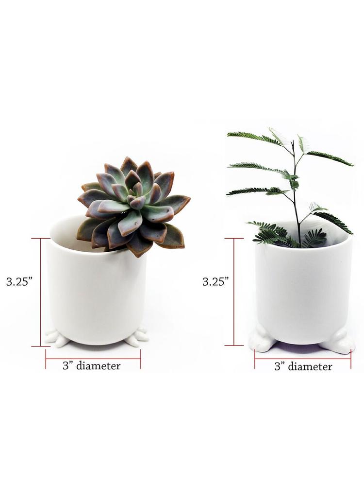 Набор горшочков WANDER POTS Кочевник