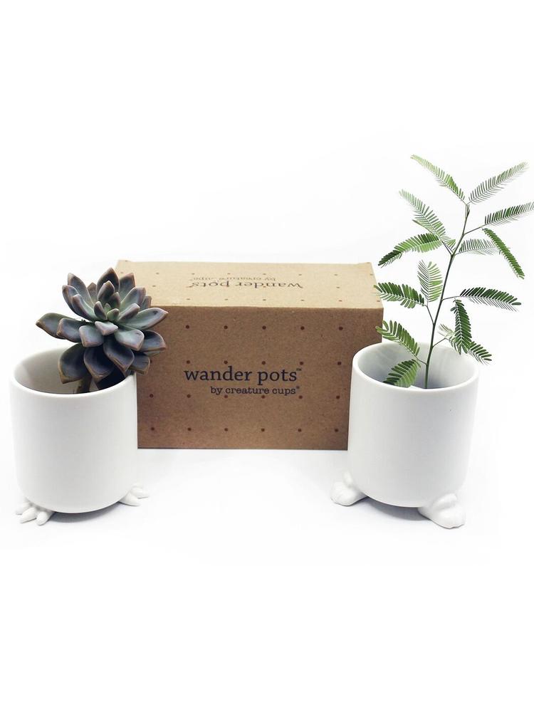 Набор горшочков WANDER POTS Кочевник