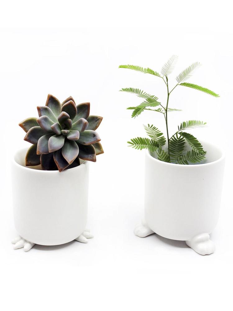 Набор горшочков WANDER POTS Кочевник