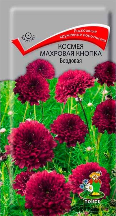 Набор семян ТОП20 Хиты Поиска