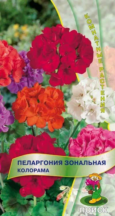 Набор семян ТОП20 Хиты Поиска