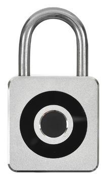 Умный замок DIGMA SmartLock C1, навесной, титановый