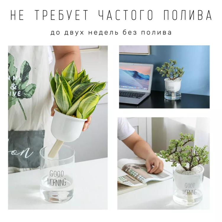 Горшок-кашпо для цветов с системой автополива Coffeesoft DIB-GML