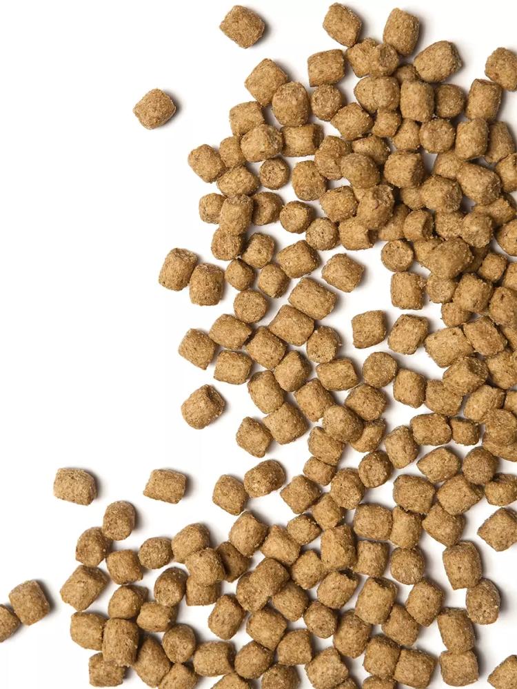 Корм сухой для кошек Probalance Immuno Protection, защита иммунитета, с курицей и индейкой, 10 кг