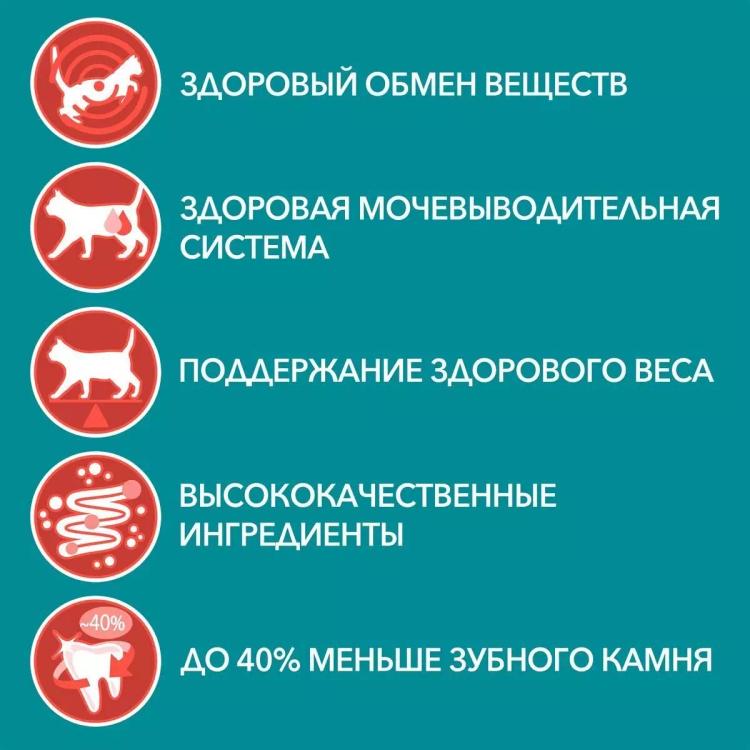 Сухой корм Purina ONE для стерилизованных кошек и кастрированных котов, с высоким содержанием лосося и пшеницей, 1,5 кг