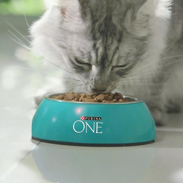 Сухой корм Purina ONE для стерилизованных кошек и кастрированных котов, с высоким содержанием лосося и пшеницей, 1,5 кг